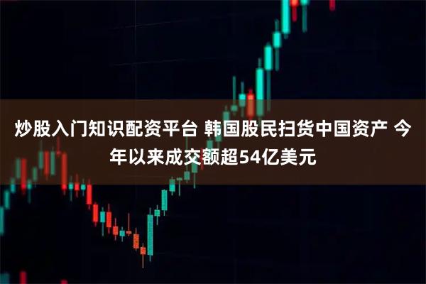 炒股入门知识配资平台 韩国股民扫货中国资产 今年以来成交额超54亿美元